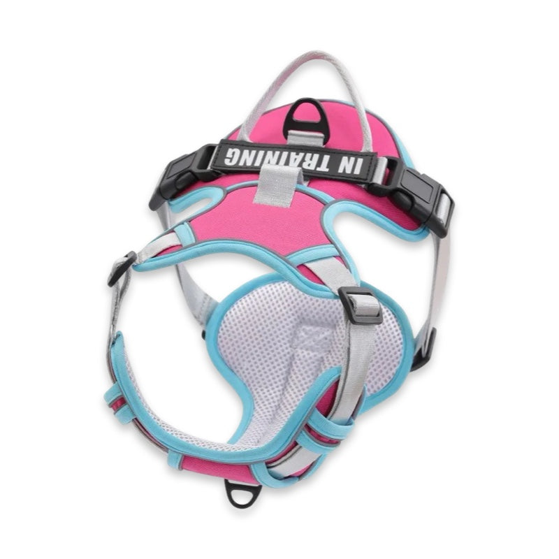 Custom Name No-Pull Dog Harness  pet accessories YAG Boutique