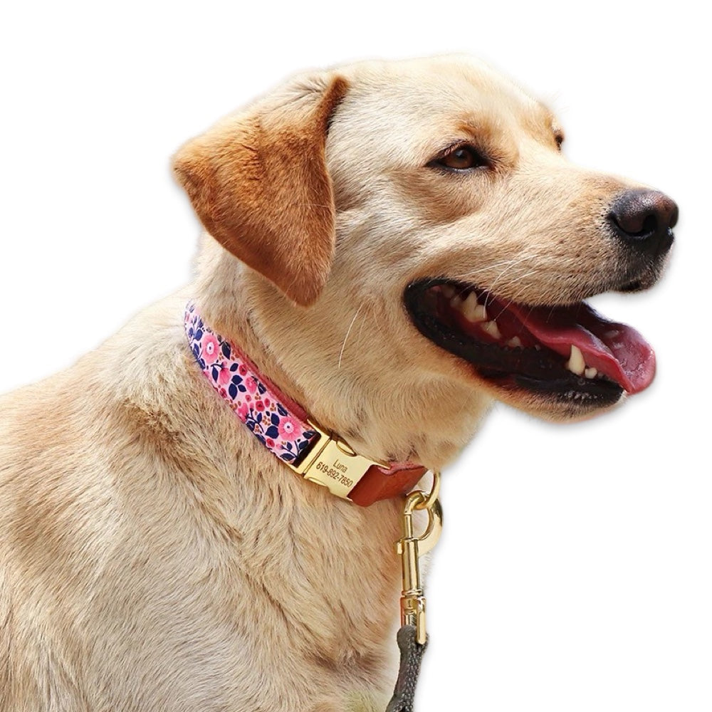 Personalised Floral Dog Collar with Engraved Name Buckle  pet accessories YAG Boutique