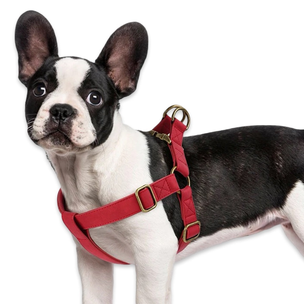 Personalised Dog Harness & Leash Set with Engraved ID Buckle  pet accessories YAG Boutique