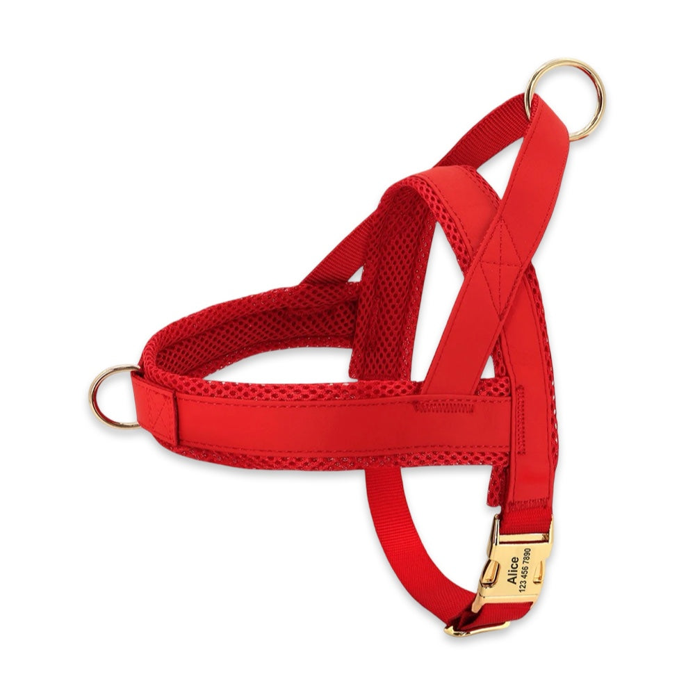 Personalised No-Pull Dog Harness & Leash Set  pet accessories YAG Boutique