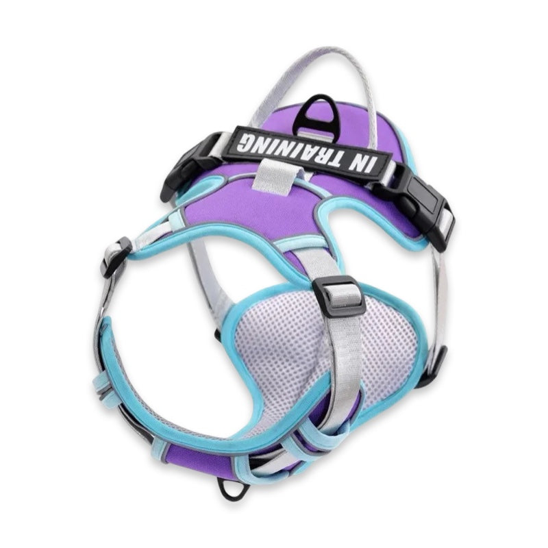 Custom Name No-Pull Dog Harness  pet accessories YAG Boutique