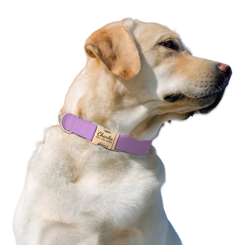 Custom Engraved Dog Collar  pet accessories YAG Boutique