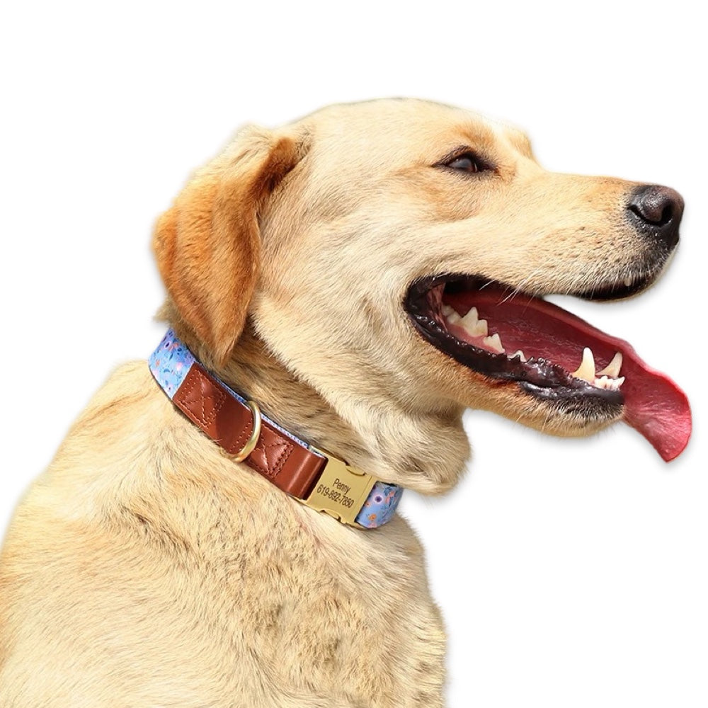 Personalised Floral Dog Collar with Engraved Name Buckle  pet accessories YAG Boutique