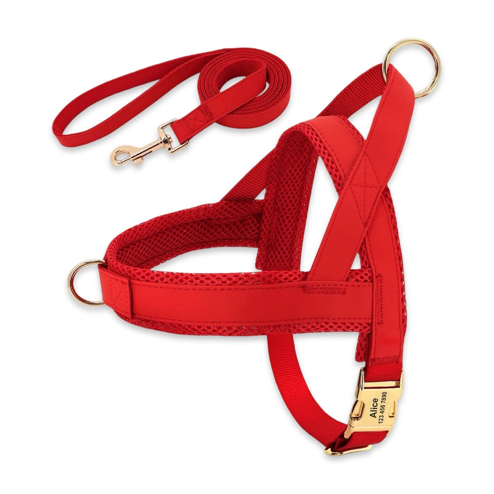 Personalised No-Pull Dog Harness & Leash Set  pet accessories YAG Boutique