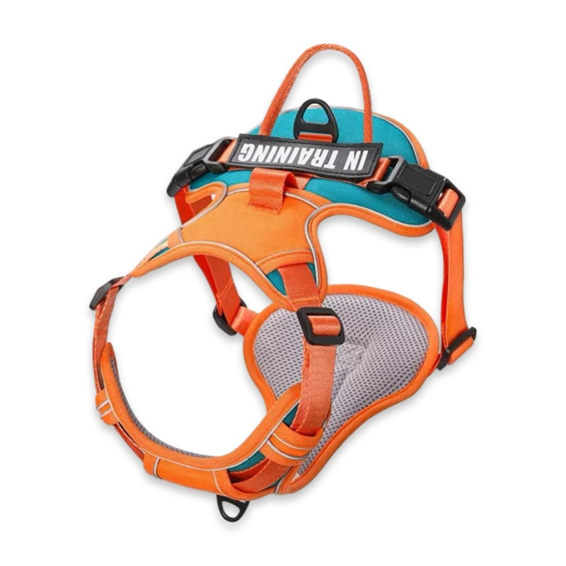 Custom Name No-Pull Dog Harness  pet accessories YAG Boutique