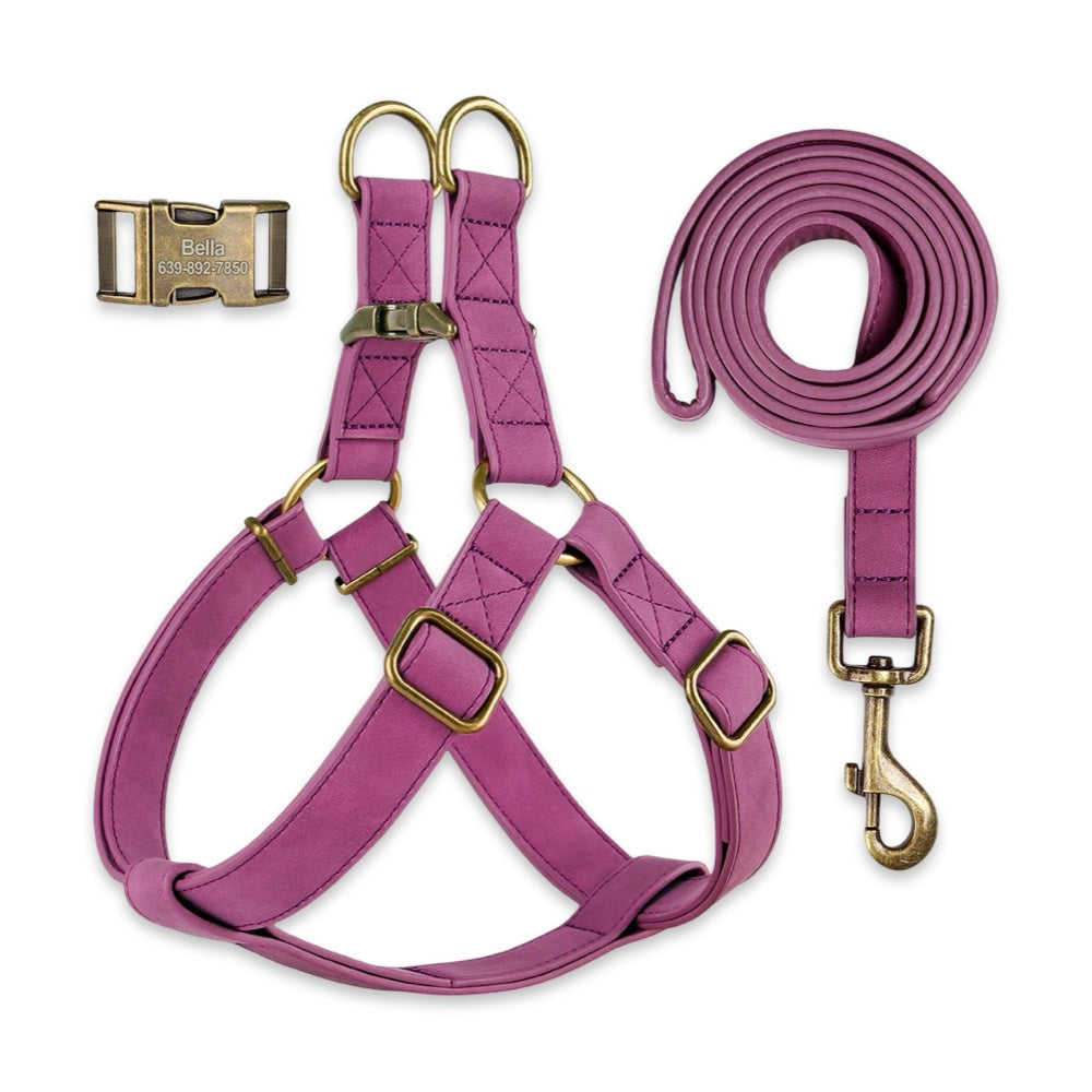 Personalised Dog Harness & Leash Set with Engraved ID Buckle  pet accessories YAG Boutique