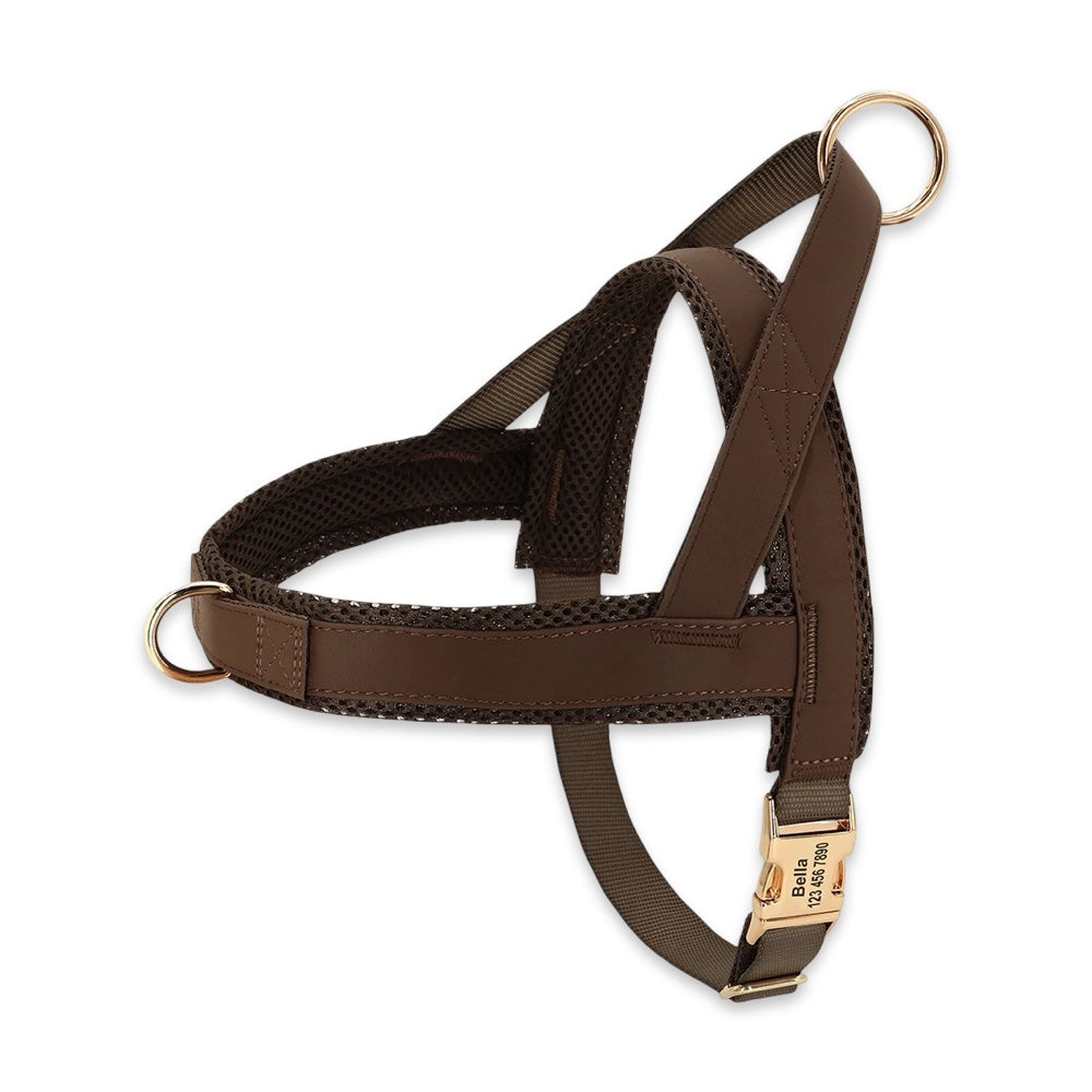 Personalised No-Pull Dog Harness & Leash Set  pet accessories YAG Boutique