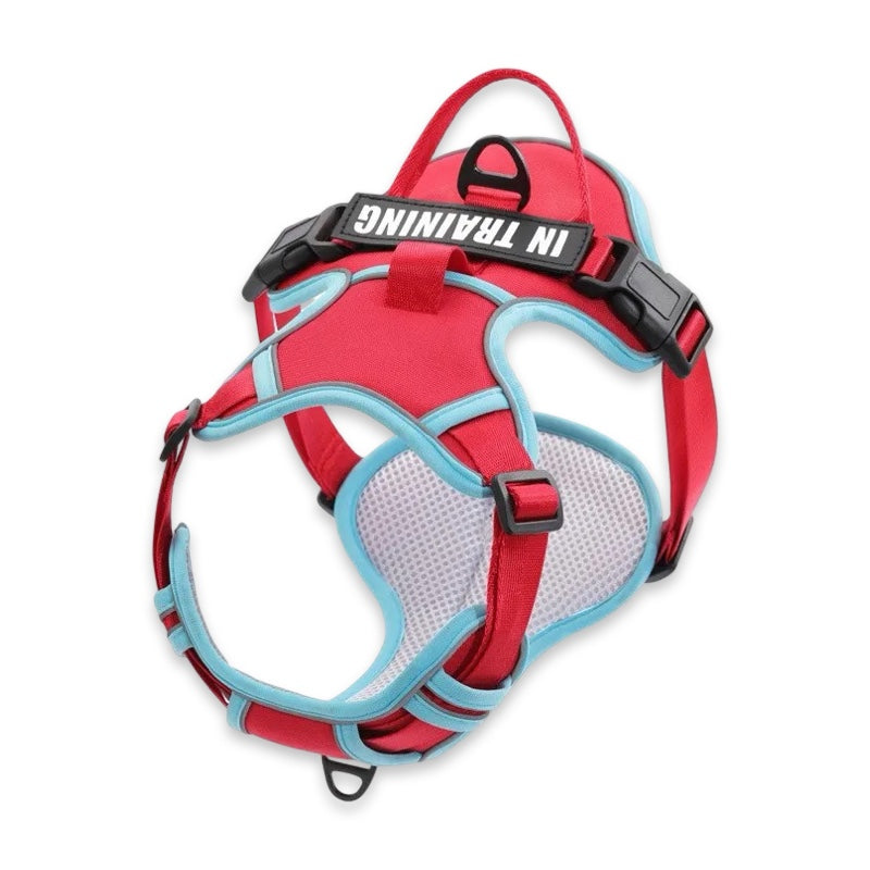 Custom Name No-Pull Dog Harness  pet accessories YAG Boutique