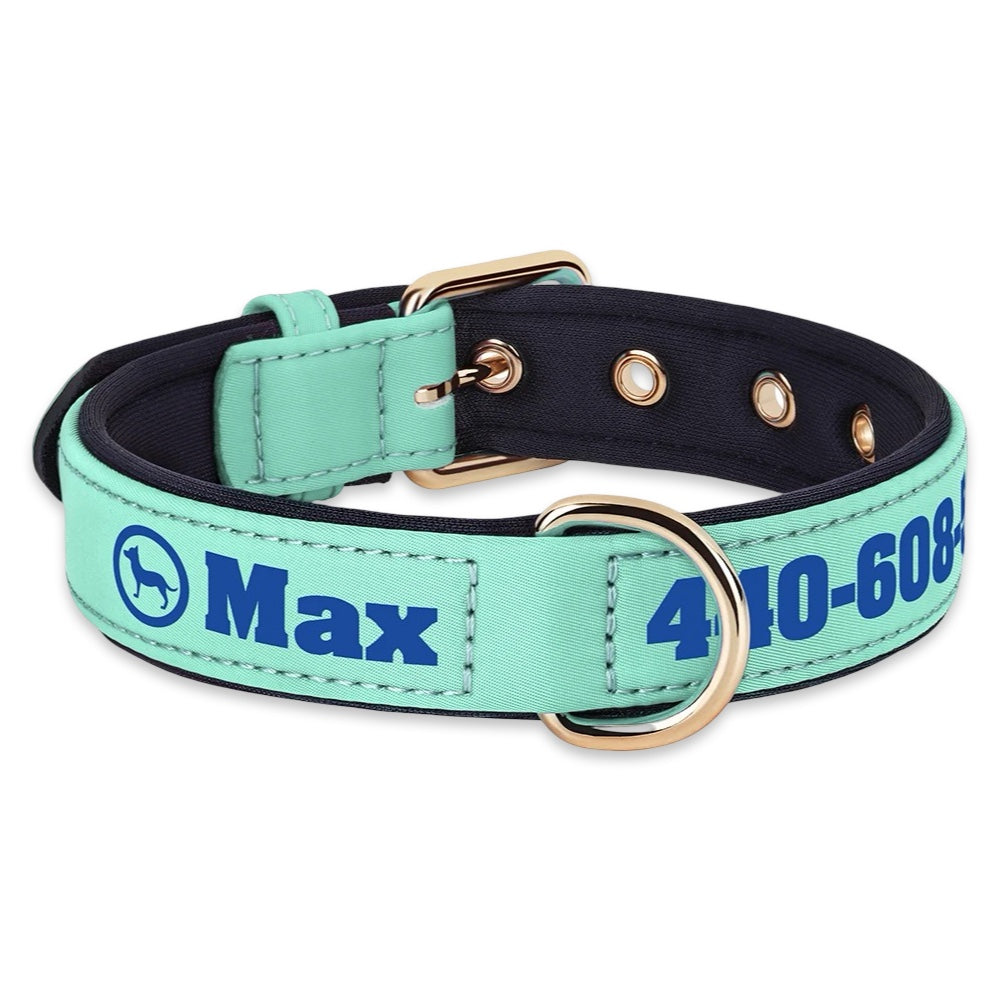 Personalised Dog Collar with Name & Phone Number  pet accessories YAG Boutique