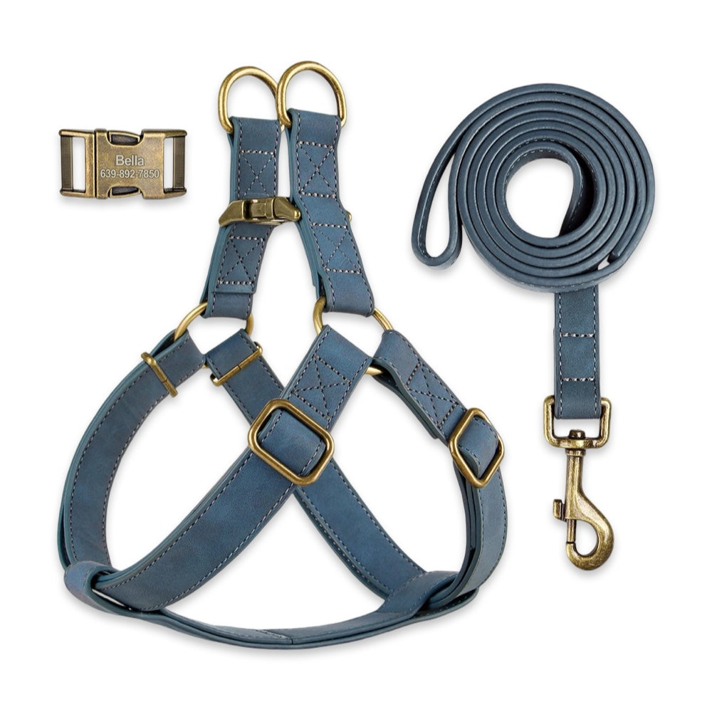Personalised Dog Harness & Leash Set with Engraved ID Buckle  pet accessories YAG Boutique