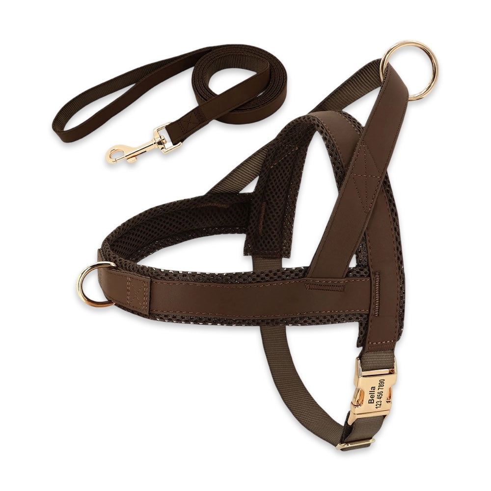 Personalised No-Pull Dog Harness & Leash Set  pet accessories YAG Boutique