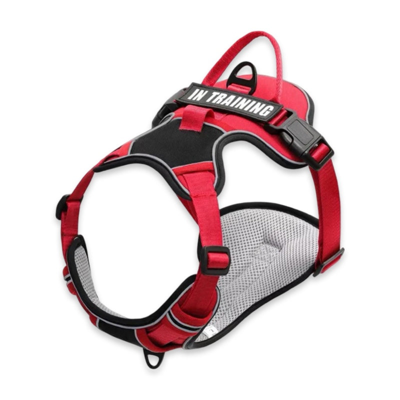 Custom Name No-Pull Dog Harness  pet accessories YAG Boutique