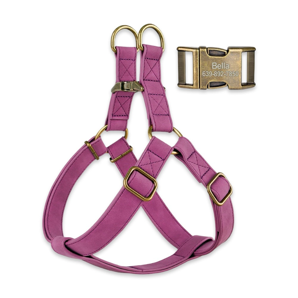Personalised Dog Harness & Leash Set with Engraved ID Buckle  pet accessories YAG Boutique