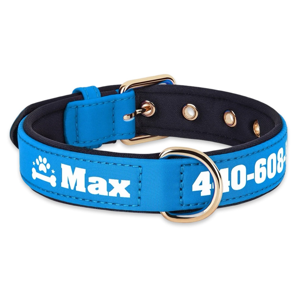 Personalised Dog Collar with Name & Phone Number  pet accessories YAG Boutique