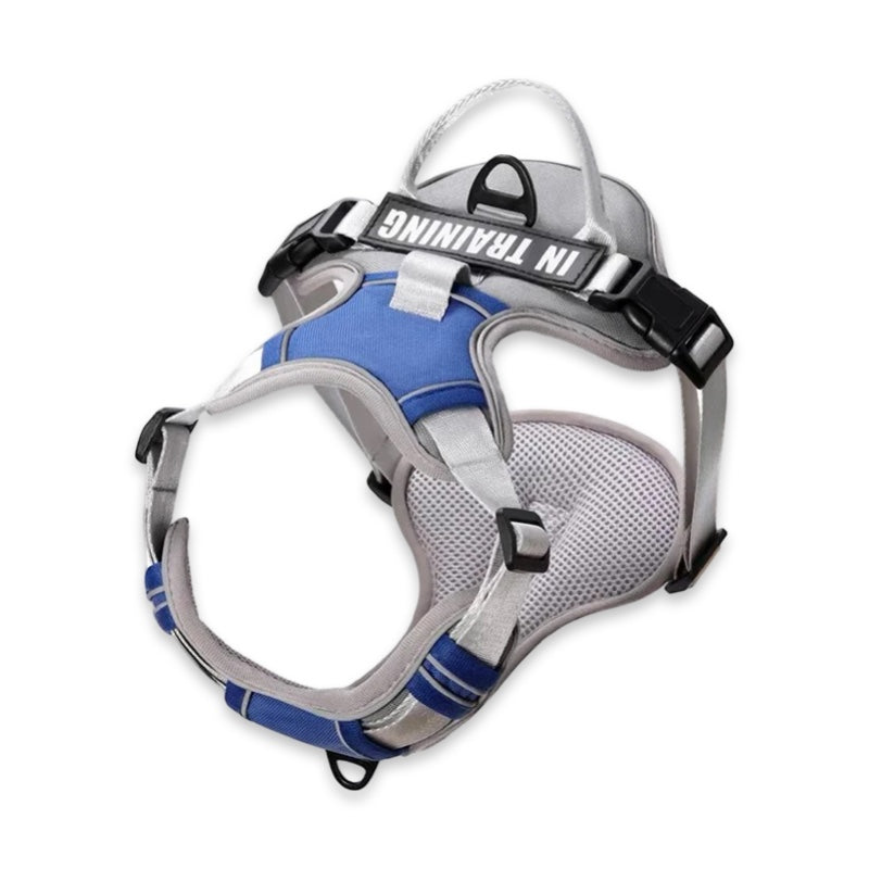 Custom Name No-Pull Dog Harness  pet accessories YAG Boutique